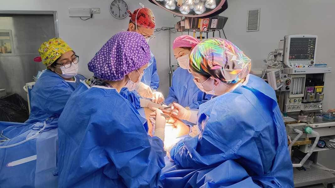 img_20250121_113008865_hdr-(1)_optimized (1)