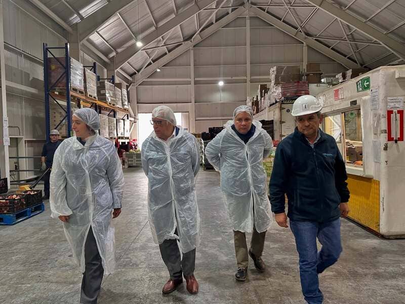 Visita Bodega1 (1) (1)