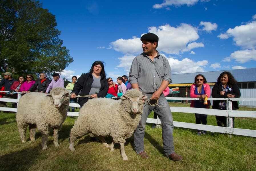 costumbrista-cochrane-25-(1)-(1)_optimized (1)