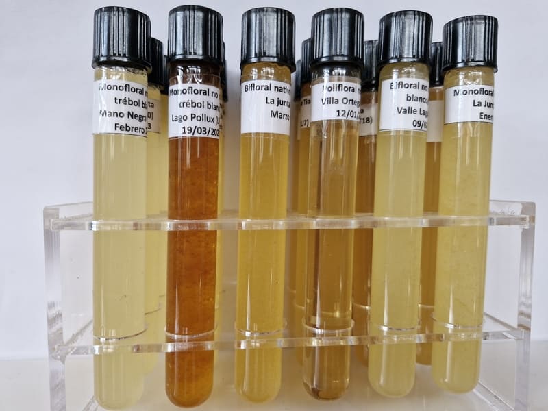 Muestras Mieles_Estudio CIEP (1) (1)