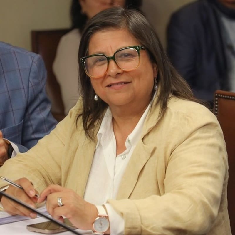 Foto diputada (4) (1) (1)