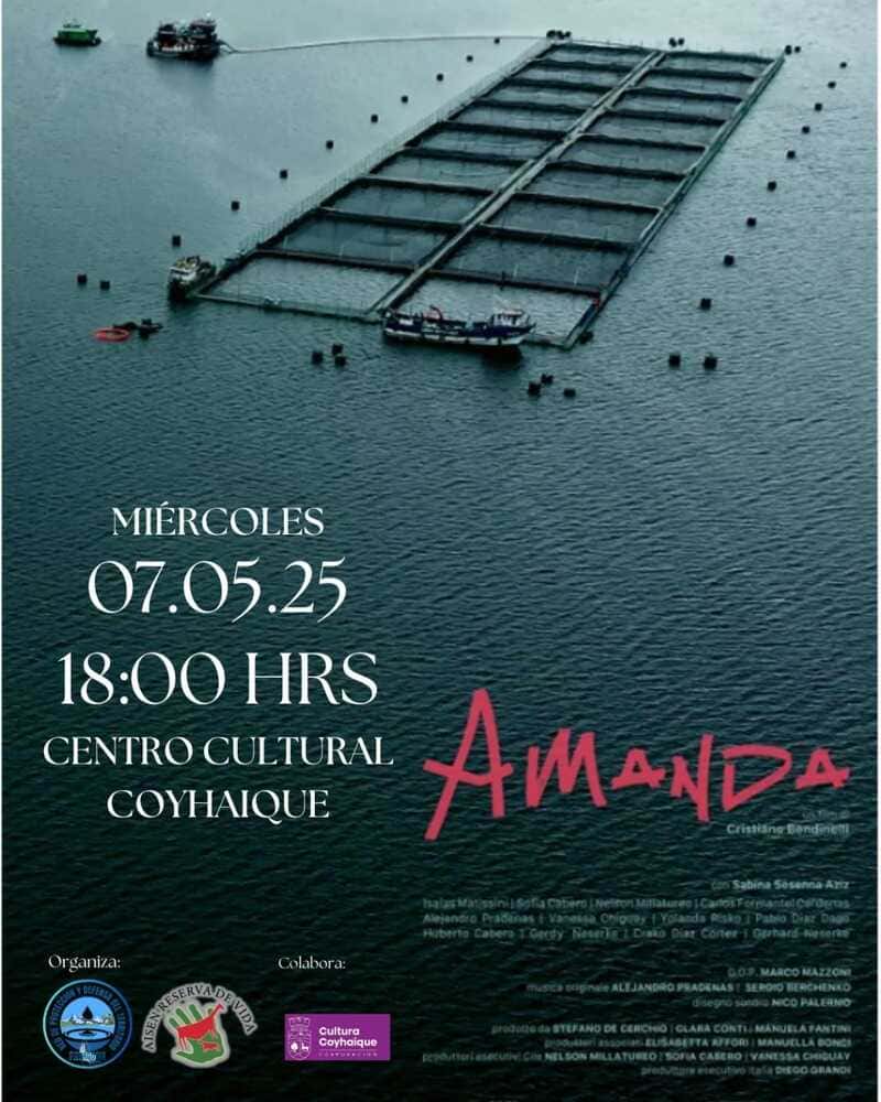 afiche-cinta-_amanda_-(1)_optimized (1)