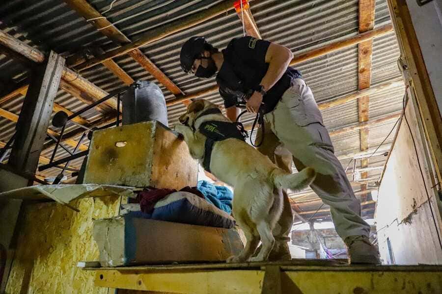 cecapro-2026-003-(1)_optimized (1)