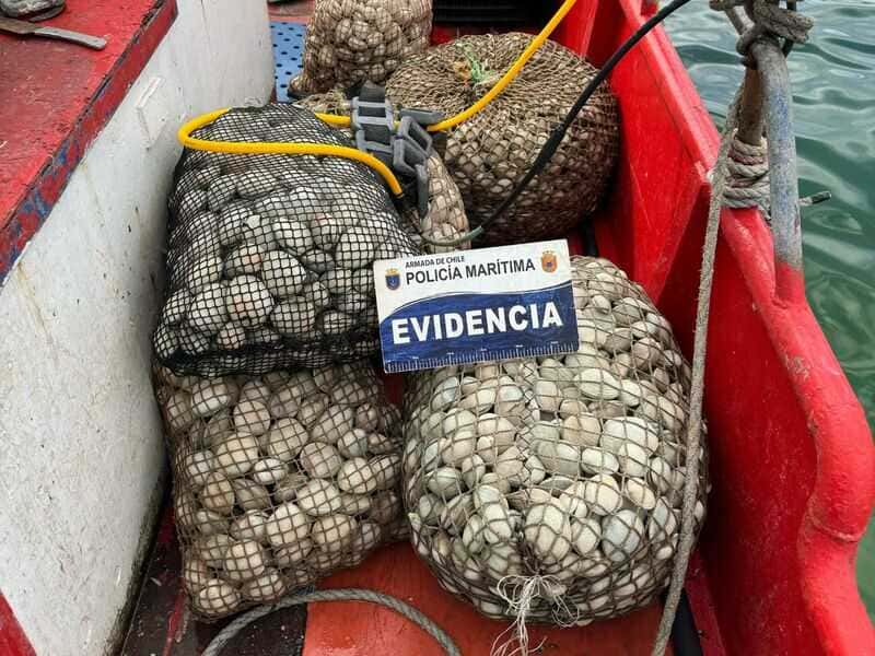 foto - -2025-04-02t134629_optimized.474-(1)