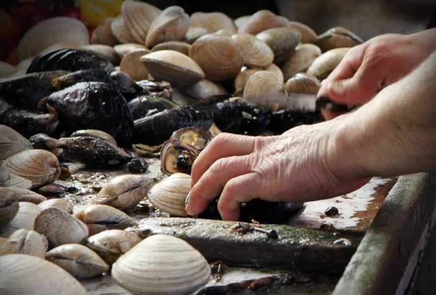 mariscos-(2)-(1)_optimized