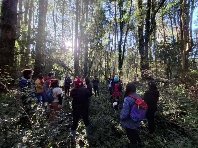 salida-a-terreno-(1)_optimized (1)