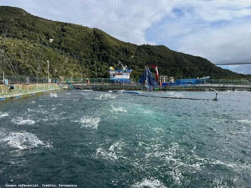 salmonicultura_sernapesca-4-1-(1)_optimized (1)