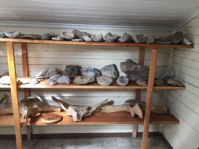 trafico ilicito2 (2) (1) (1)