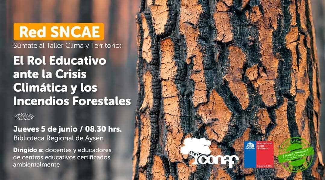 taller-(1)-(1)-(1)_optimized (1) (1)