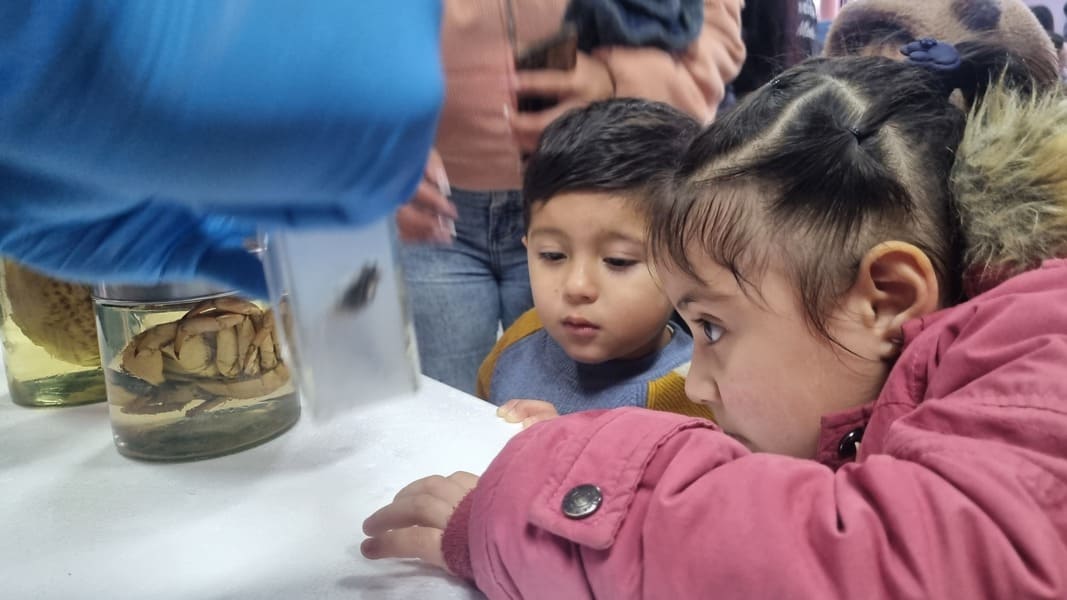 20250527_104951 (1) (1)