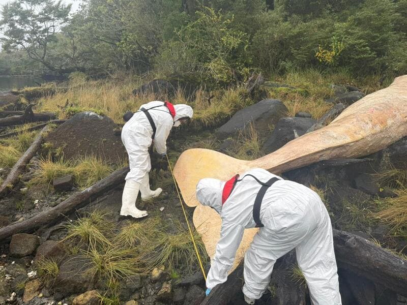 WhatsApp Image 2025-05-31 at 18.27.56 (1) (1)