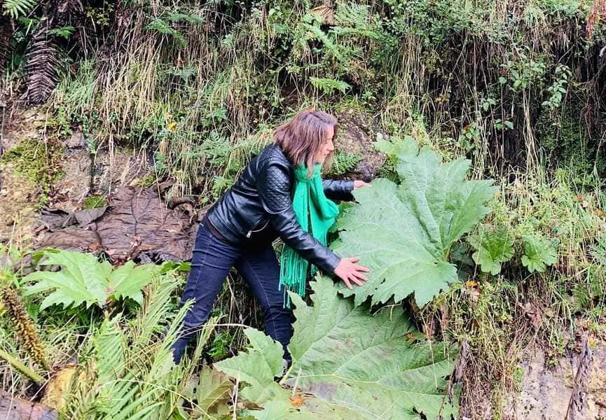 fot-terreno-1-(1)_optimized (1)