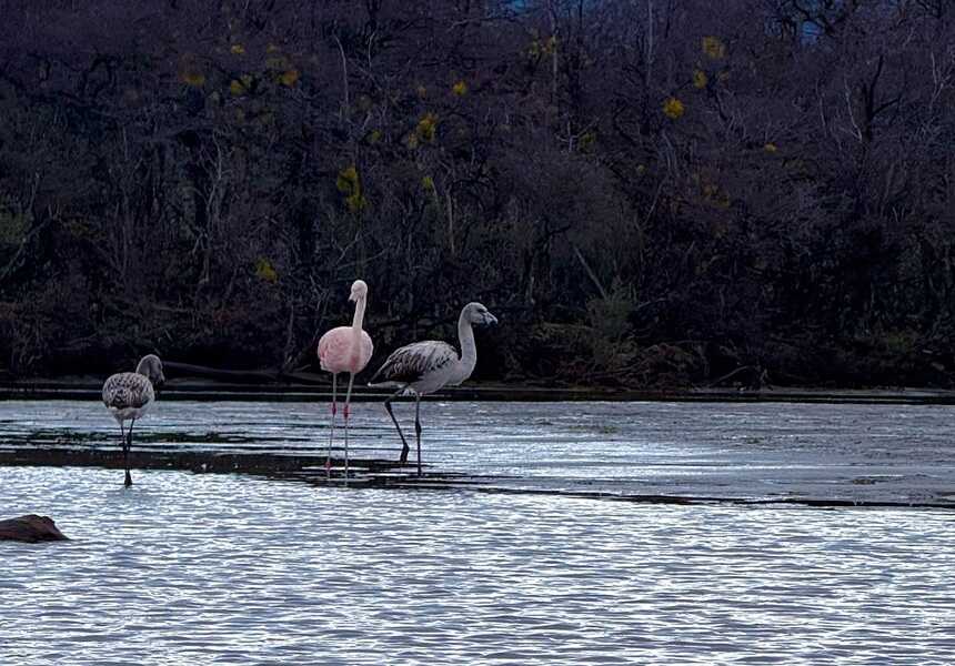 img_6234-2-(1)_optimized