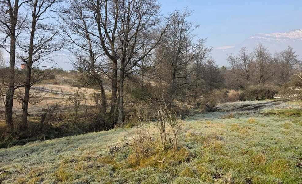 lote-g2-(1)_optimized (1)