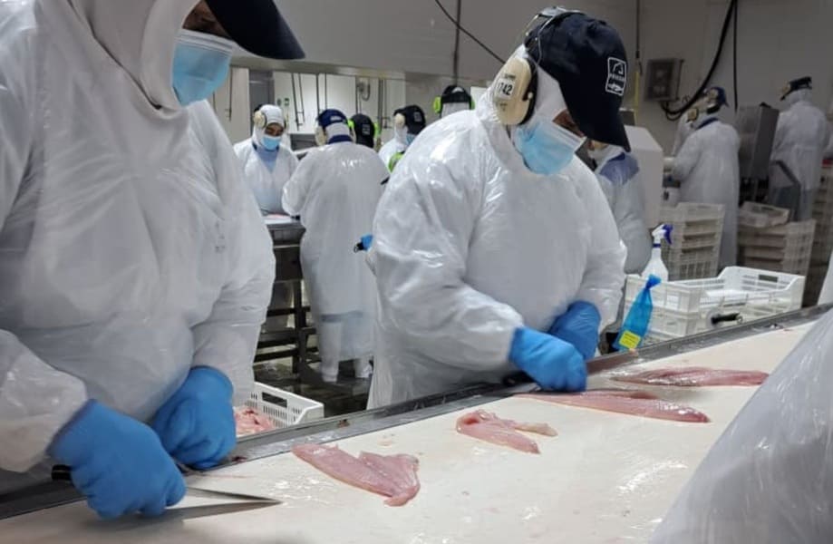 Foto - 2025-08-26T090907.669 (1) (1)