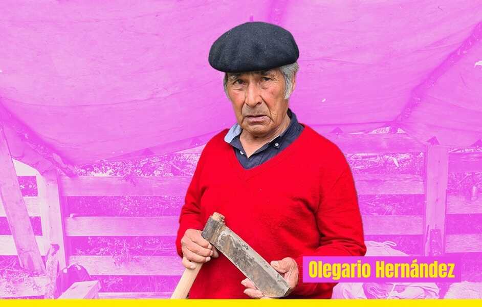 lm-por-region_aysen-hombre_feed-(1)_optimized