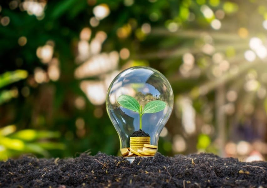 01_referencial_transformalimentos (1) (1)