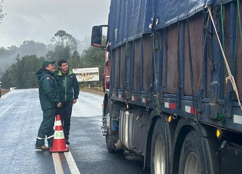 Traslado Animales 2 (1) (1)