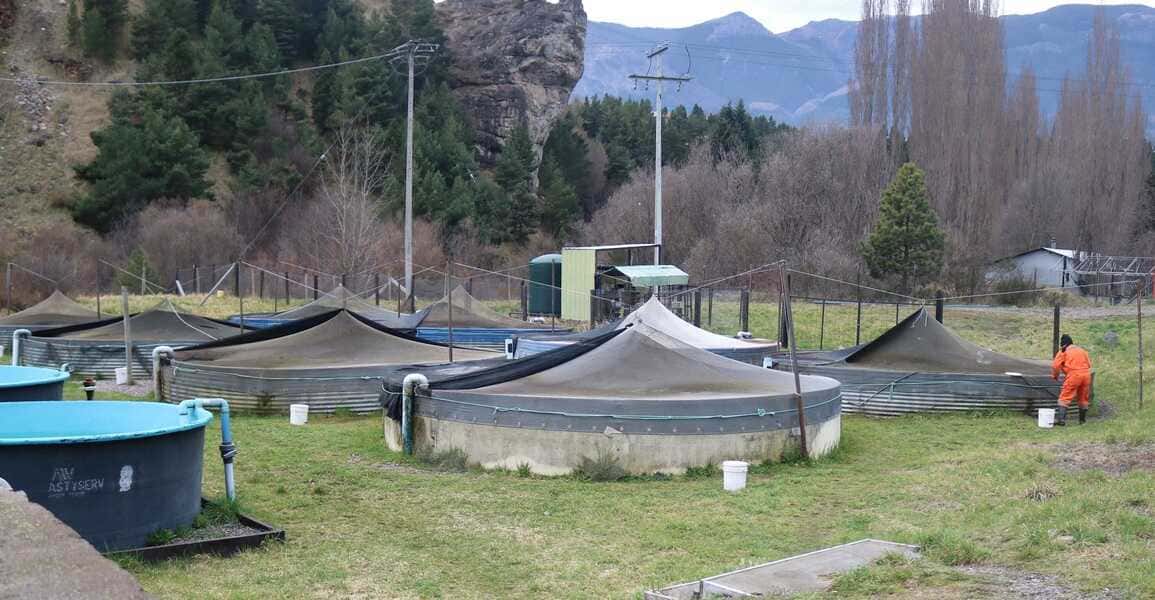 img_7742-(1)_optimized (1)