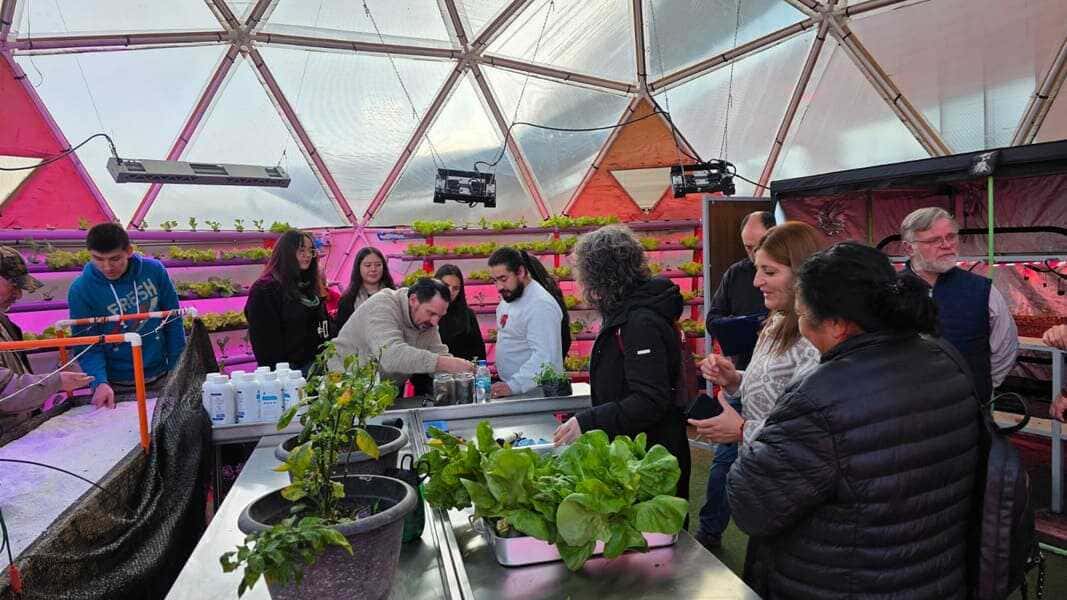 mas-(1)-(1)_optimized (1)