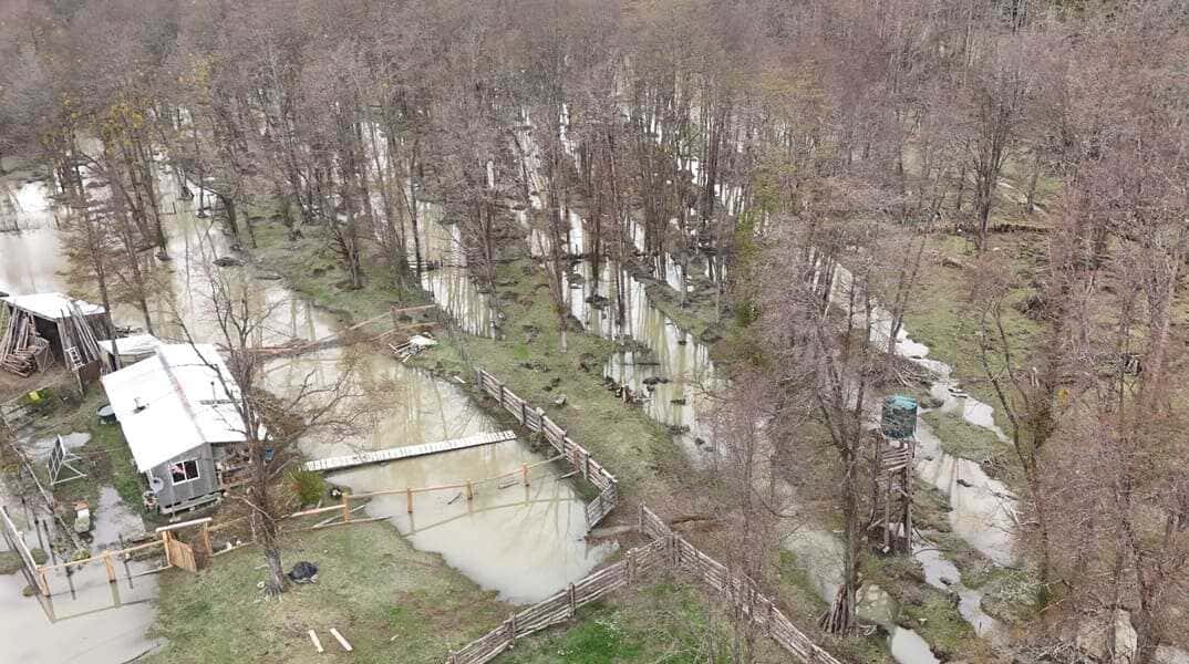 2-reporte-7-(1)-(1)_optimized (1)