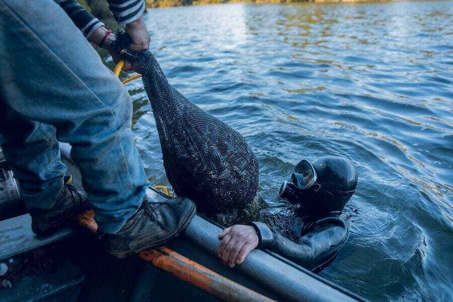 buzo-extrae-recursos-(1)_optimized (1)