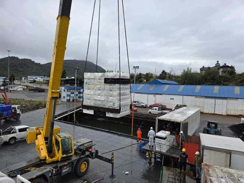 Visita Friosur nov 2025 (2) (1) (1)