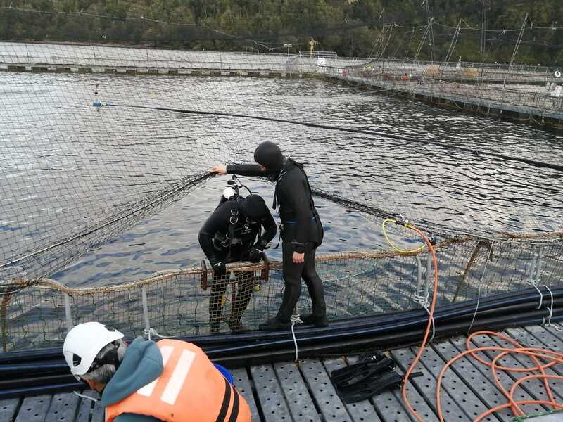 seguridad-en-buceo-(1)_optimized