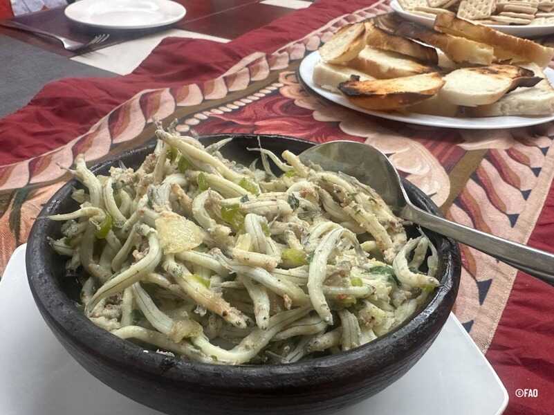 0e5ef6a8-e51a-4e39-9b60-202689917c5d-(1)_optimized