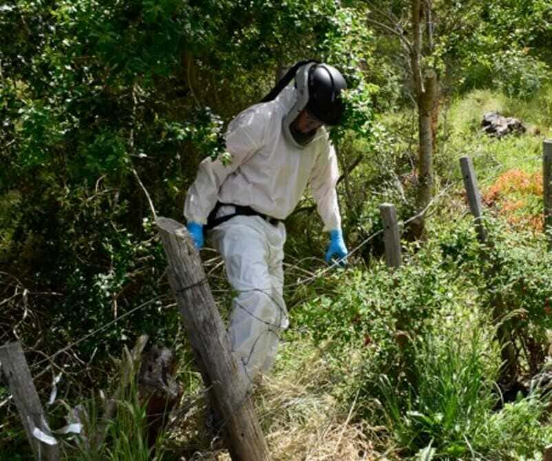 epidemiologÍa-(2)-(1)_optimized (1)