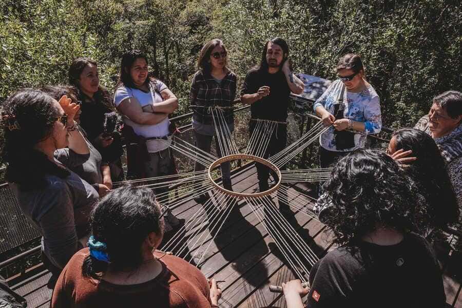 fondos-20261-(1)_optimized-(1)_optimized (1)