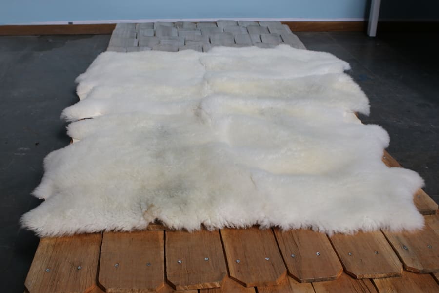 foto 1 - 2025-12-15T145513.550 (1) (1)