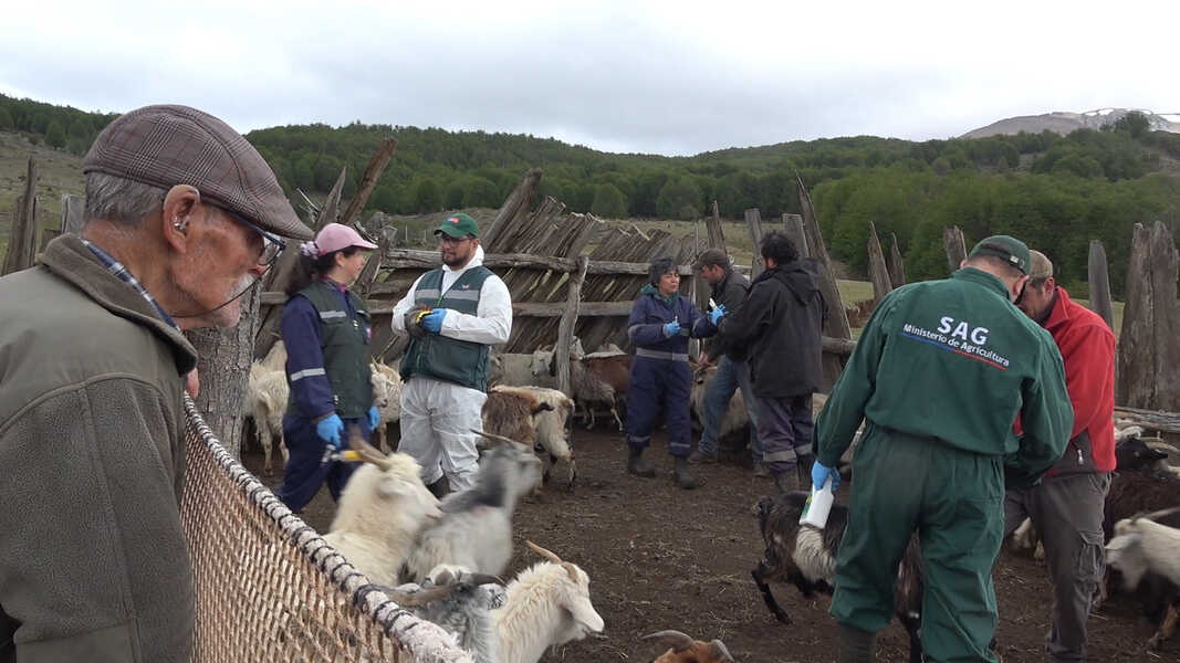 foto_6-(1)-(1)_optimized