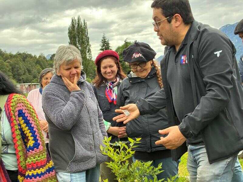 gestion-indap-2025-(2)-(1)_optimized