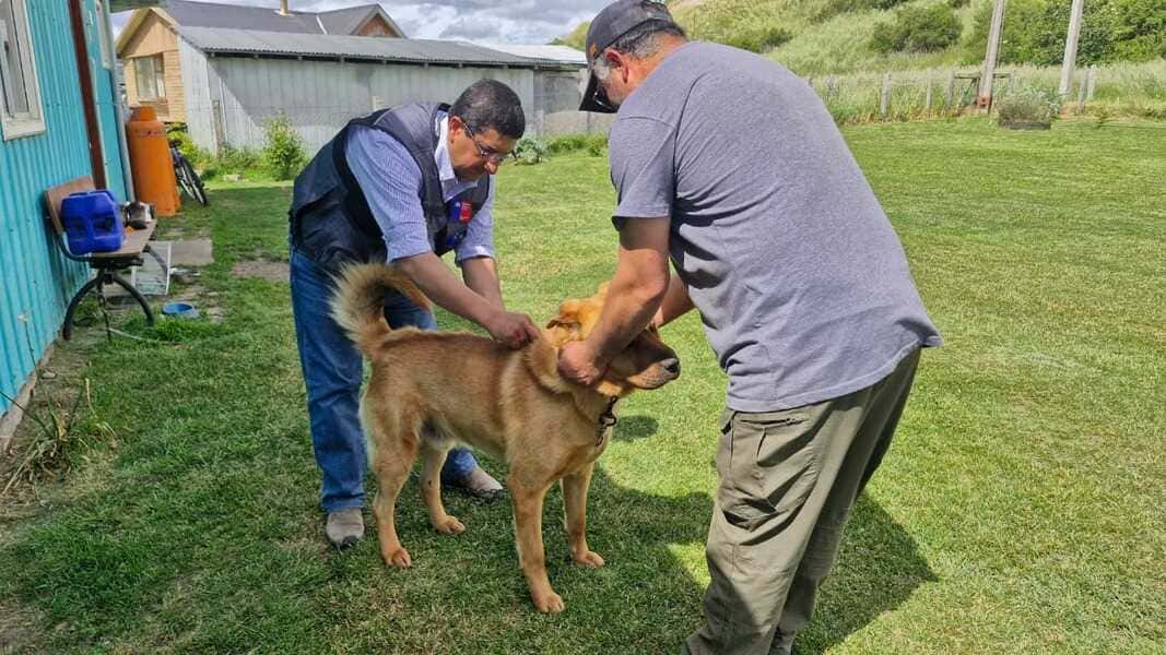 vacunación-zoonosis-(1)_optimized (1)