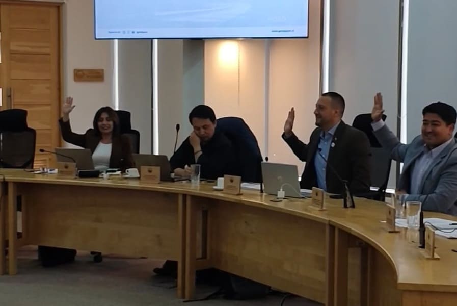 votacion pip1 (1) (1)