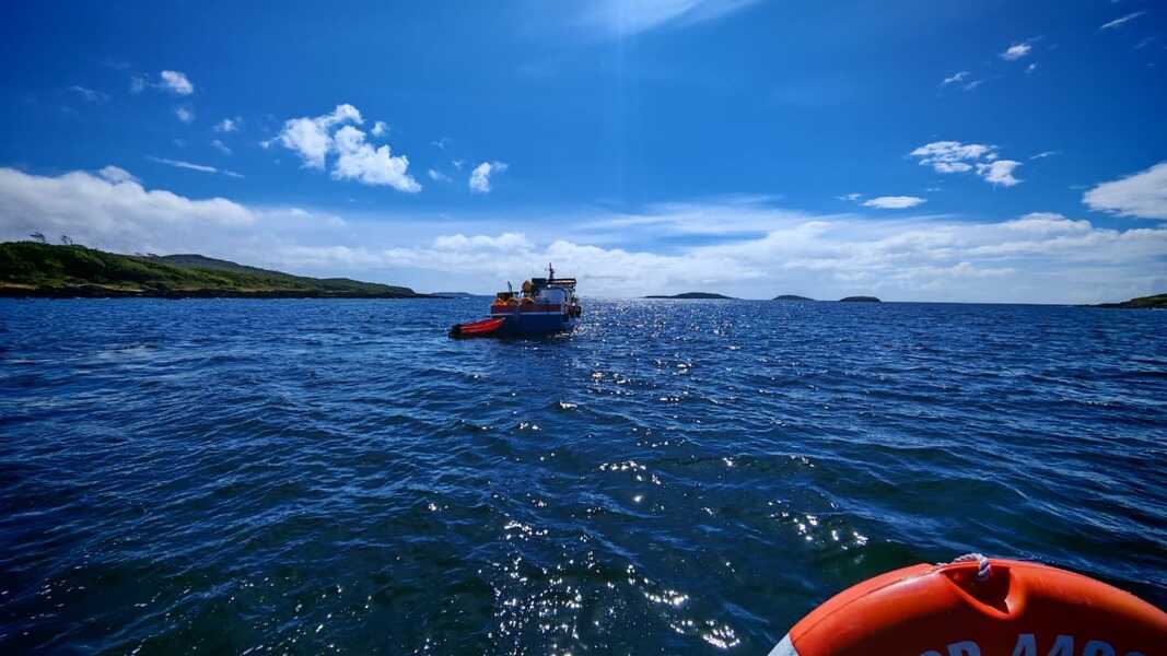 10-(34)-(1)_optimized