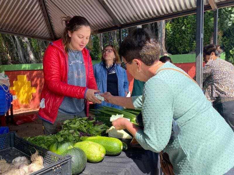 6-(72)-(1)-(1)_optimized (1)