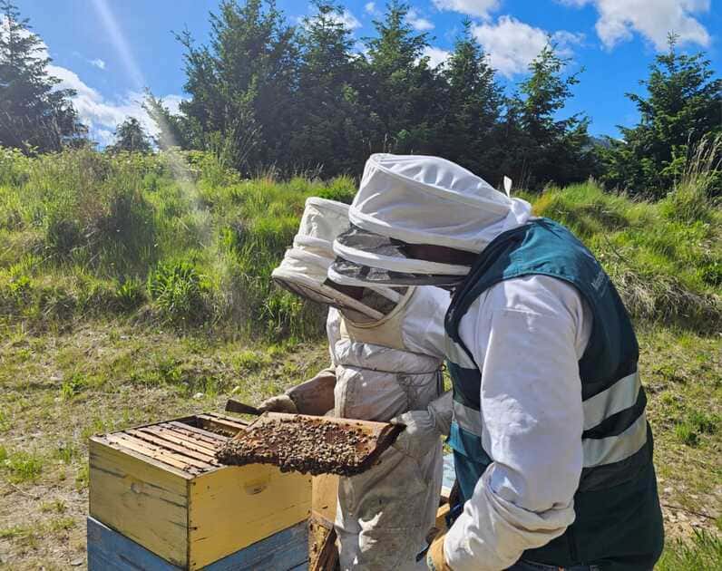 WhatsApp Image 2025-11-25 at 17.05.55 (1) (1) (1)