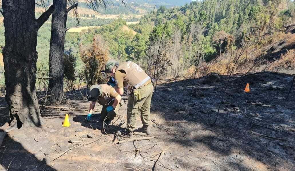 img-20250214-wa0126-1024x596-1-(1)_optimized (1)