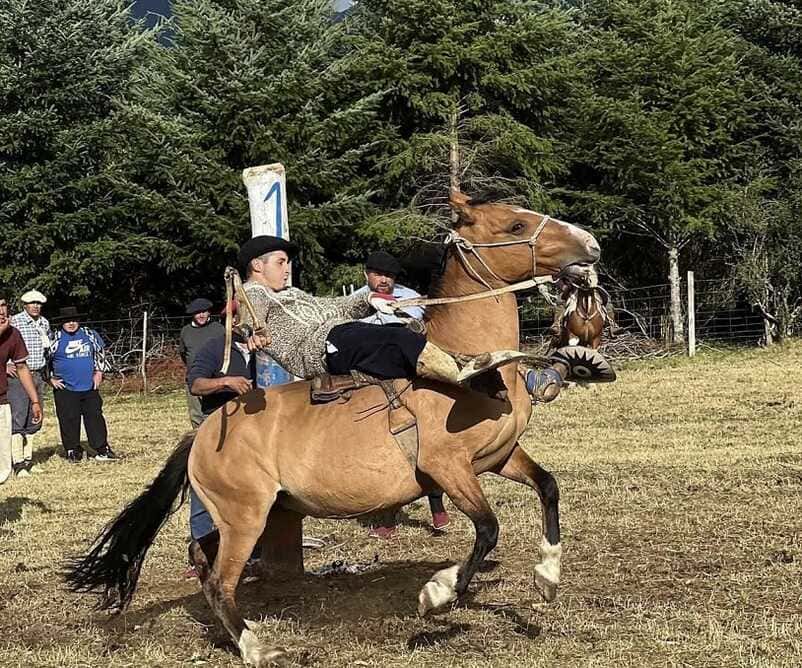 img_6851-(1)_optimized (1)