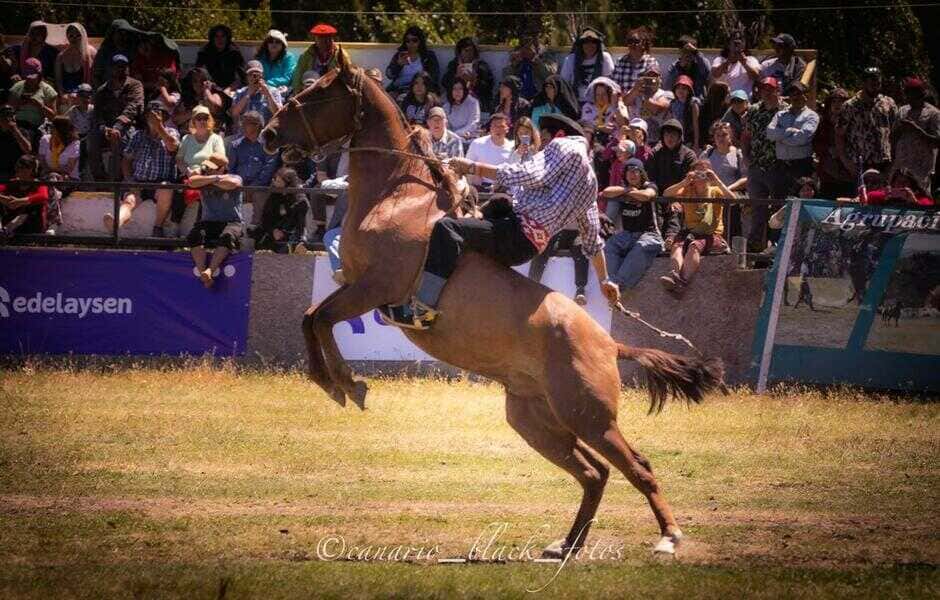 jinete-y-pÚblico-(1)_optimized (1)