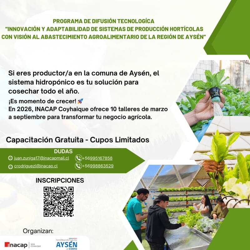 pdt-corfo--(2)-(1)-(1)_optimized