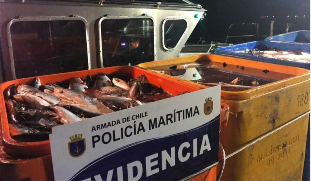 robodesalmon-1024x597-(1)_optimized