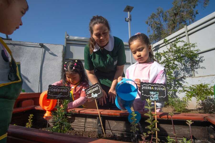 whatsapp-image-2025-06-05-at-9_optimized.03.59-am-(1)