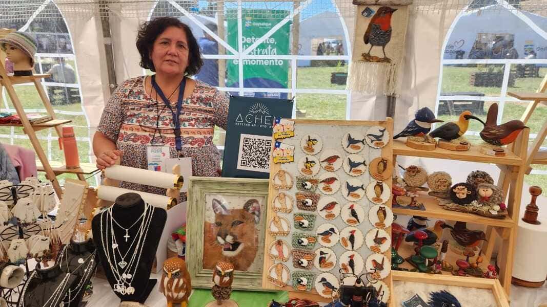 3 - -2026-02-17t150808_optimized.112-(1)