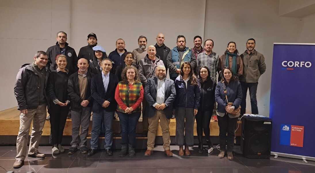 bioaysén-_optimized