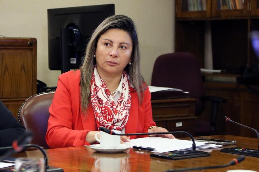 diputada valdebenito (11) (1) (1)