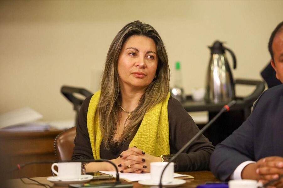 Diputada Valdebenito (13) (1) (1)