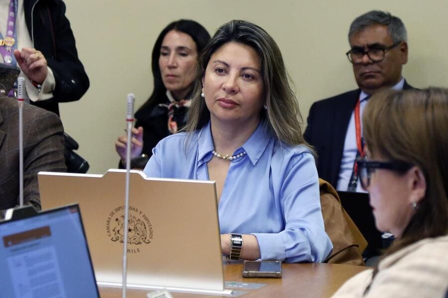 diputada valdebenito (3) (1) (1)